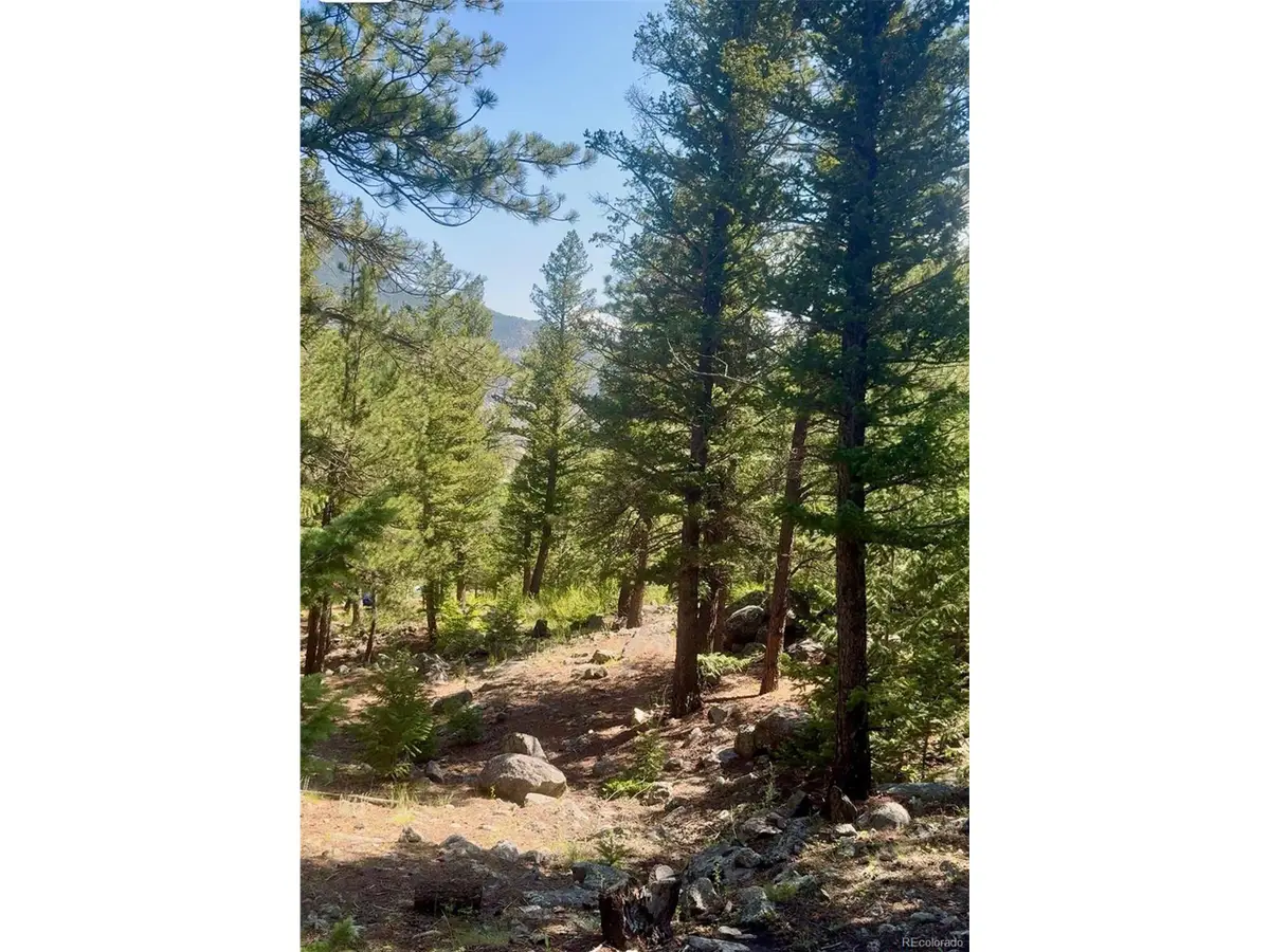 0 Alvarado Rd, Georgetown, CO 80444 - #1