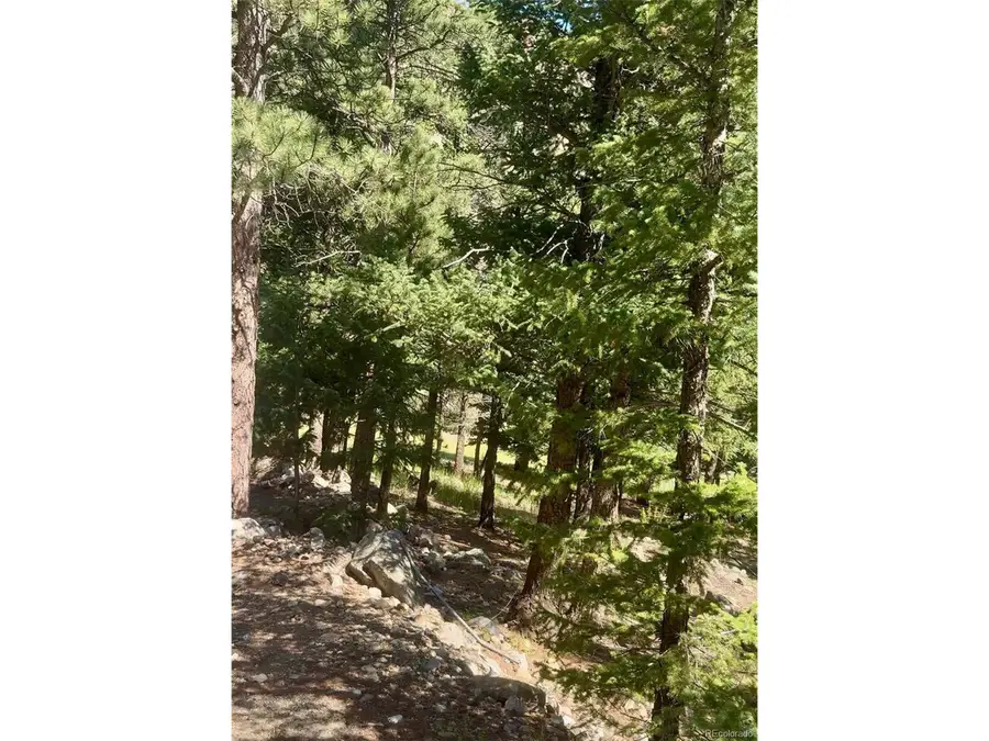 0 Alvarado Rd, Georgetown, CO 80444 - #2