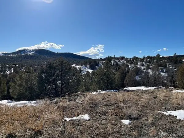 3500 Indian Wells Rd, Texas Creek, CO 81223