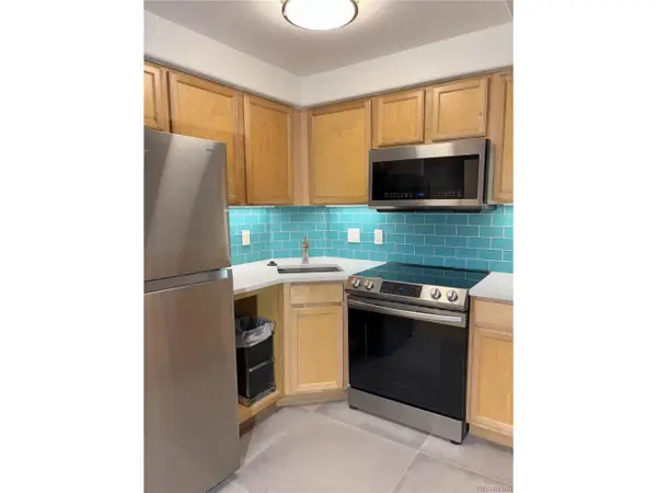 1833 N Williams St #307, Denver, CO 80218