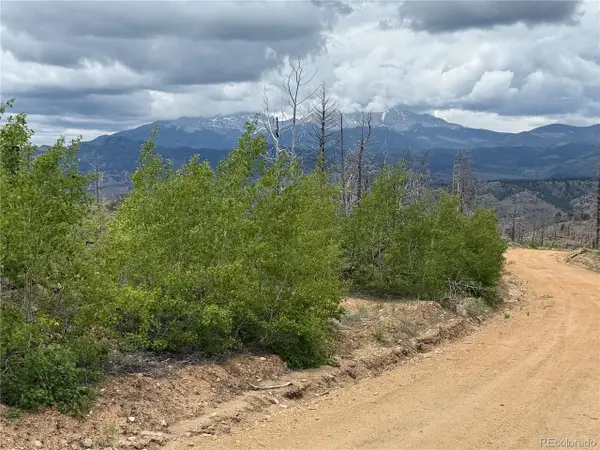 383 Soubry Pl, Fort Garland, CO 81133