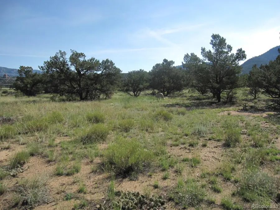 30036 Teal Run, Buena Vista, CO 81211 - #3