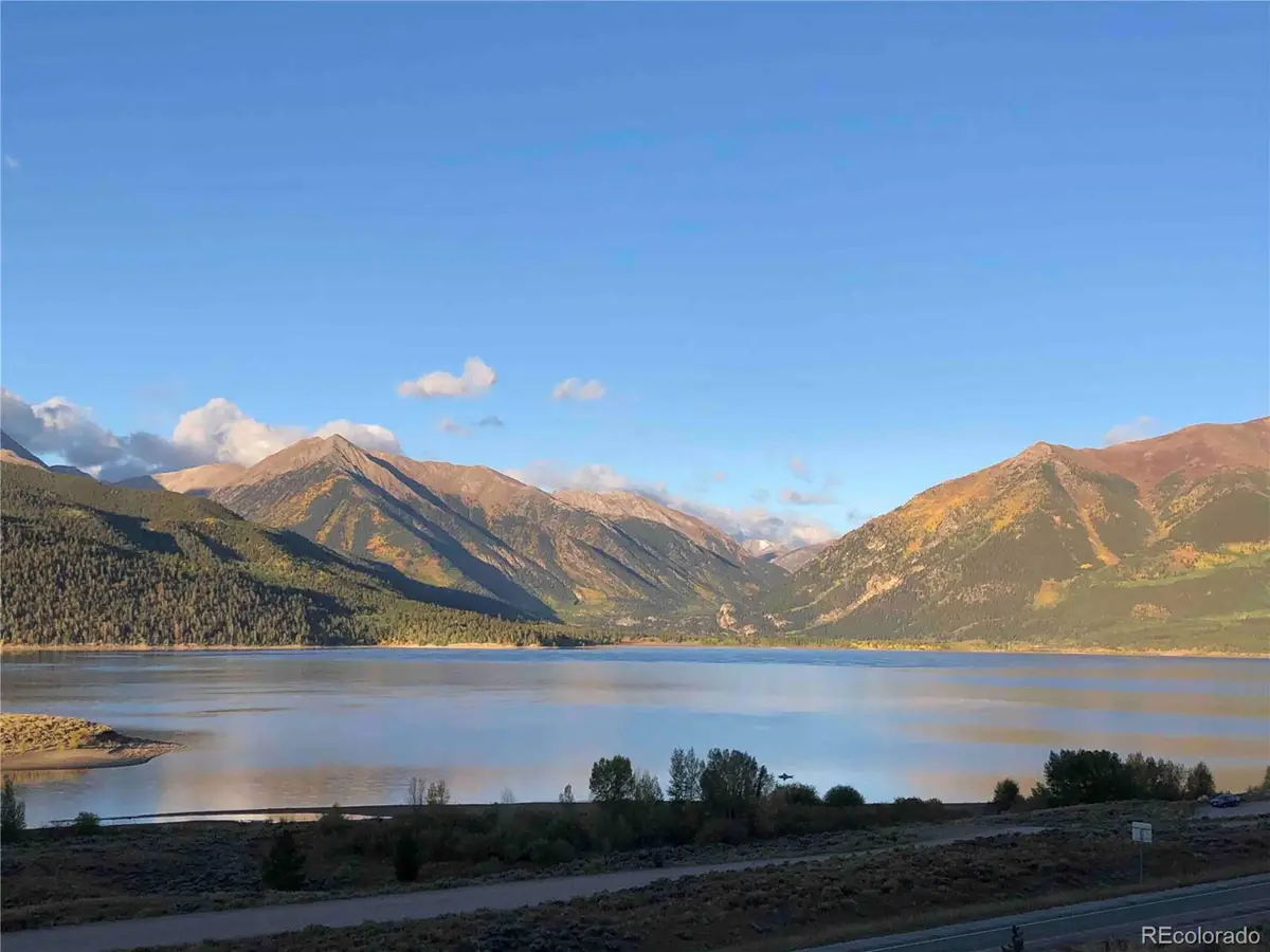6296 County Road 10, Twin Lakes, CO 81251 - #1