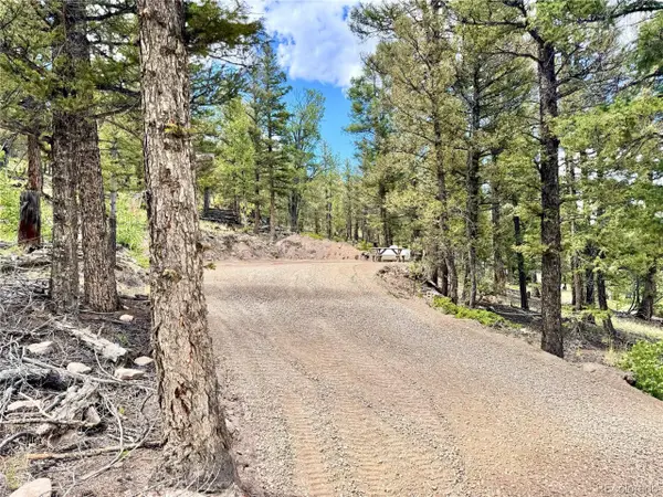 2843 Redhill Rd, Fairplay, CO 80440