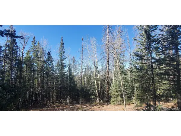 6581 Ackerman Rd, Fort Garland, CO 81133