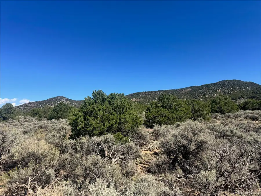 1275 Juarez Rd, Fort Garland, CO 81133 - #2