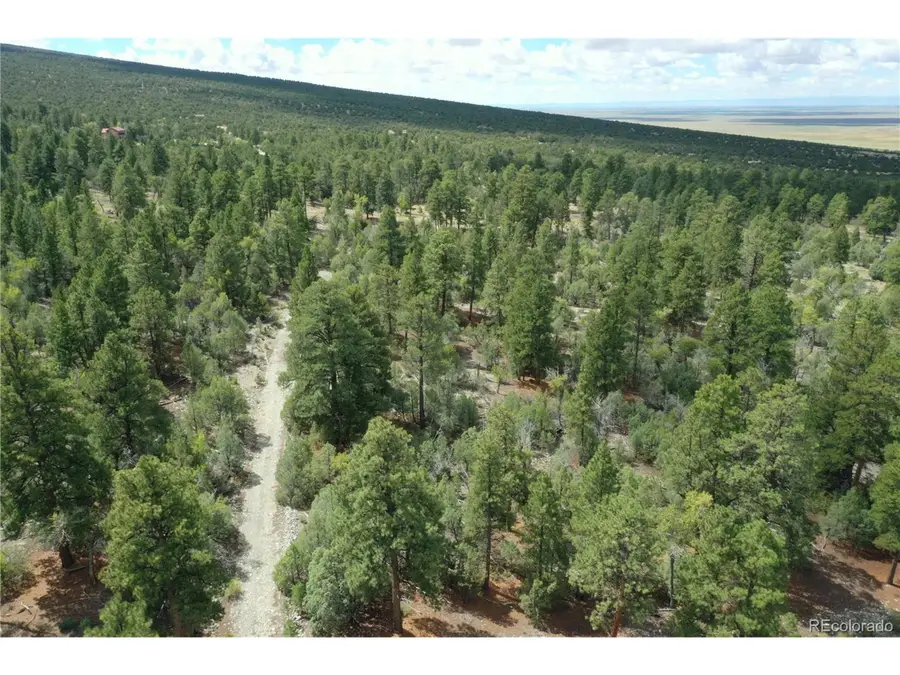 Big Bear Rd, Mosca, CO 81146 - Image #2