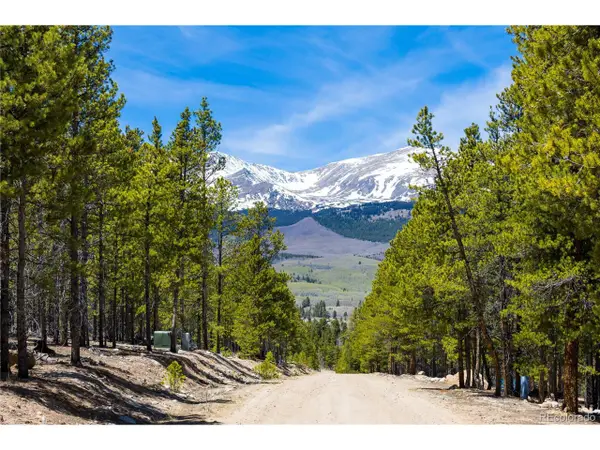 758 Spruce Dr, Twin Lakes, CO 80461