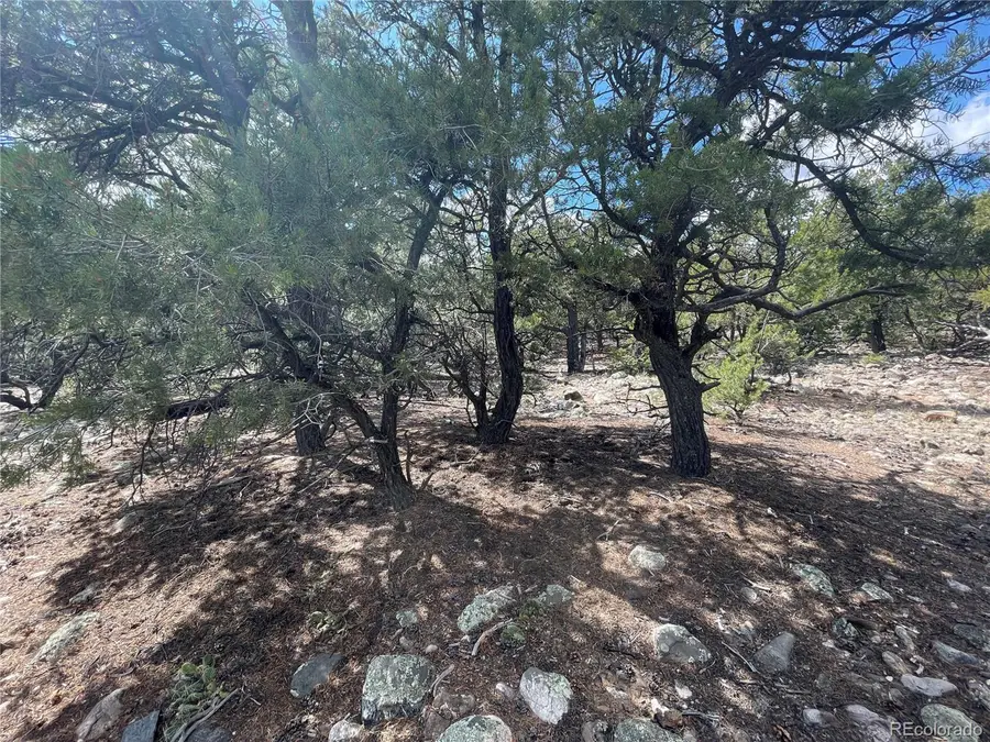 2723 Happy Hollow Way, Crestone, CO 81131 - Image #2