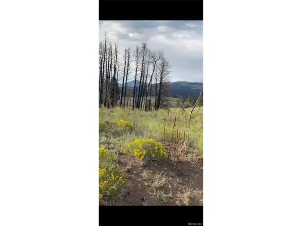 768 Shepard Pl, Fort Garland, CO 81133