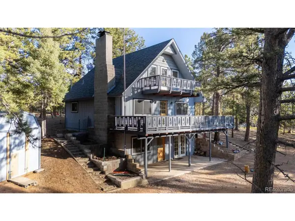 832 Spring Valley Dr, Divide, CO 80814