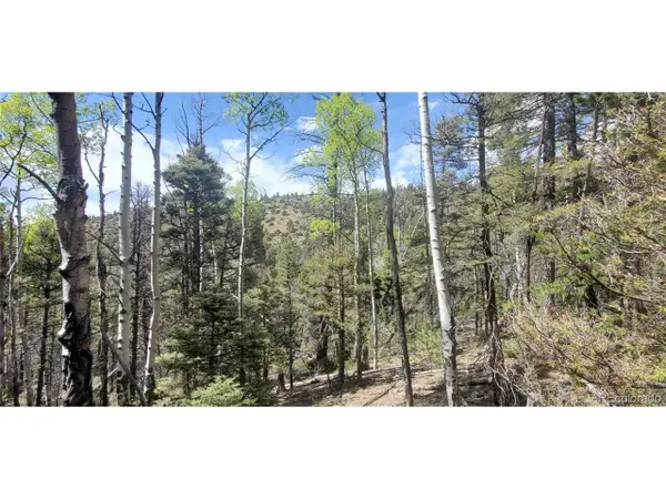 Address Withheld By Seller, Fort Garland, CO 81133