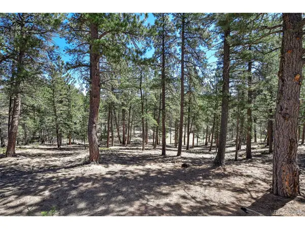 860 Spring Valley Dr, Divide, CO 80814