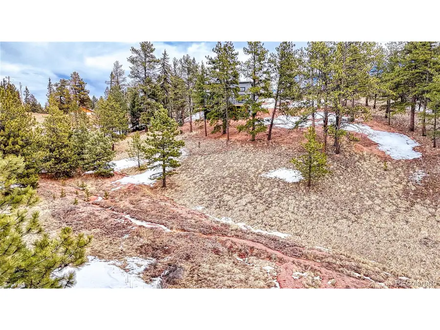 54 Southgate Rd, Florissant, CO 80816 - Image #3