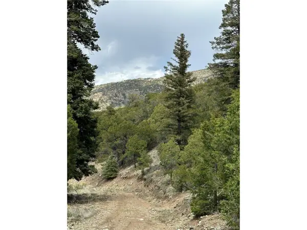 Tbd, Mosca, CO 81146