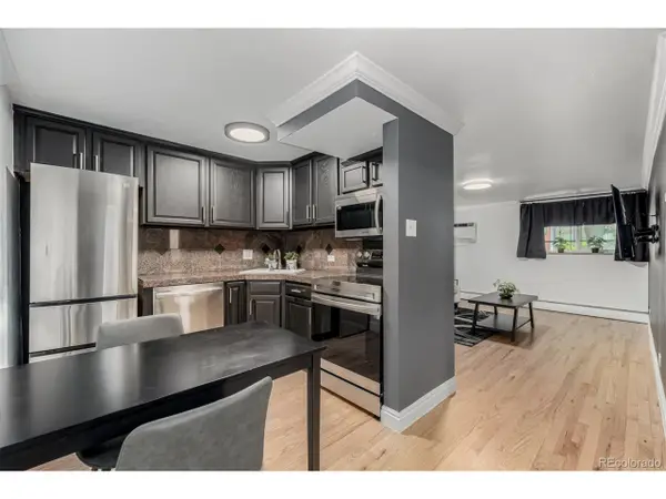 1390 N Emerson St #101, Denver, CO 80218