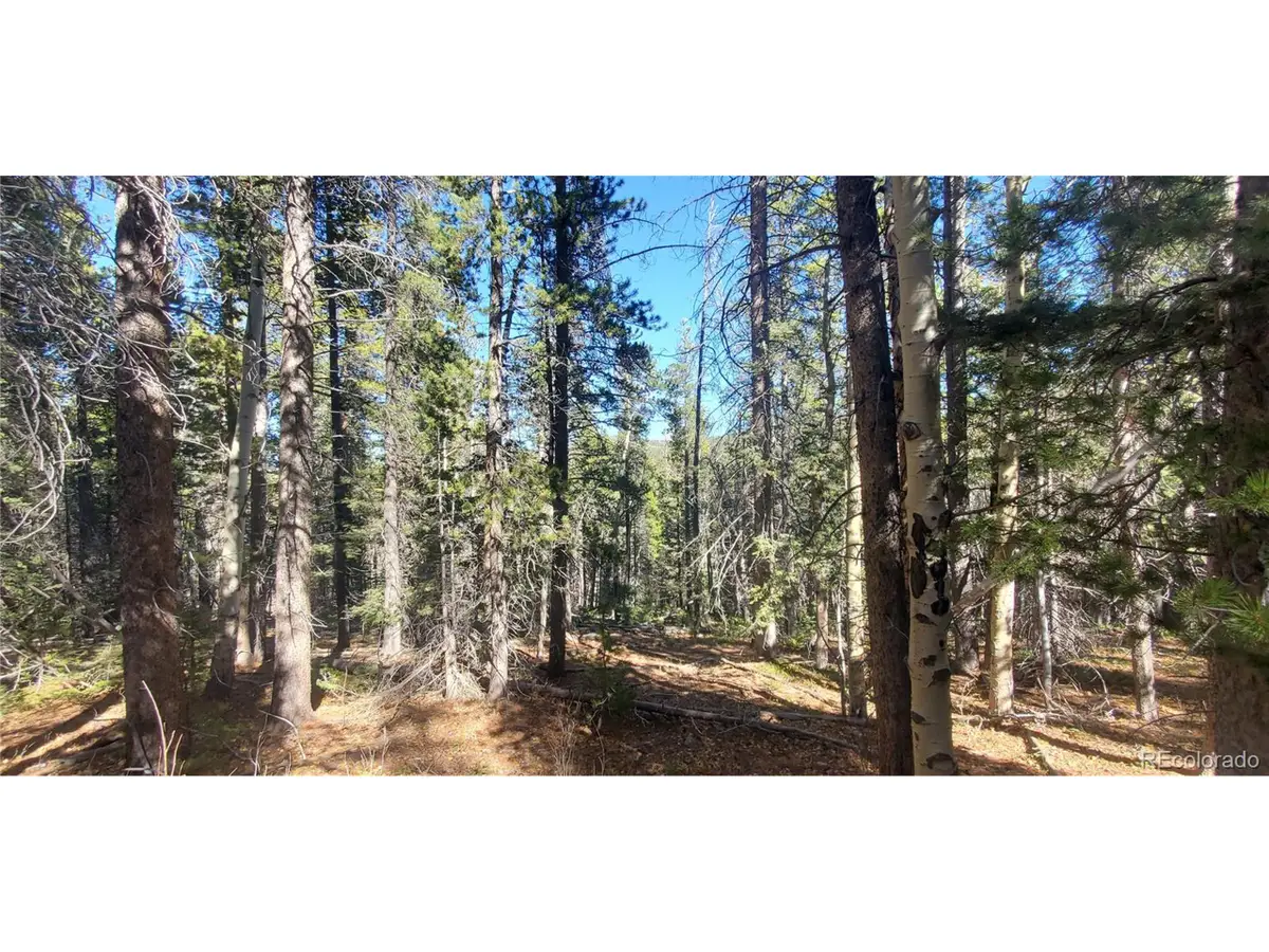 3023 Bolwell Ln, Fort Garland, CO 81133 - #1