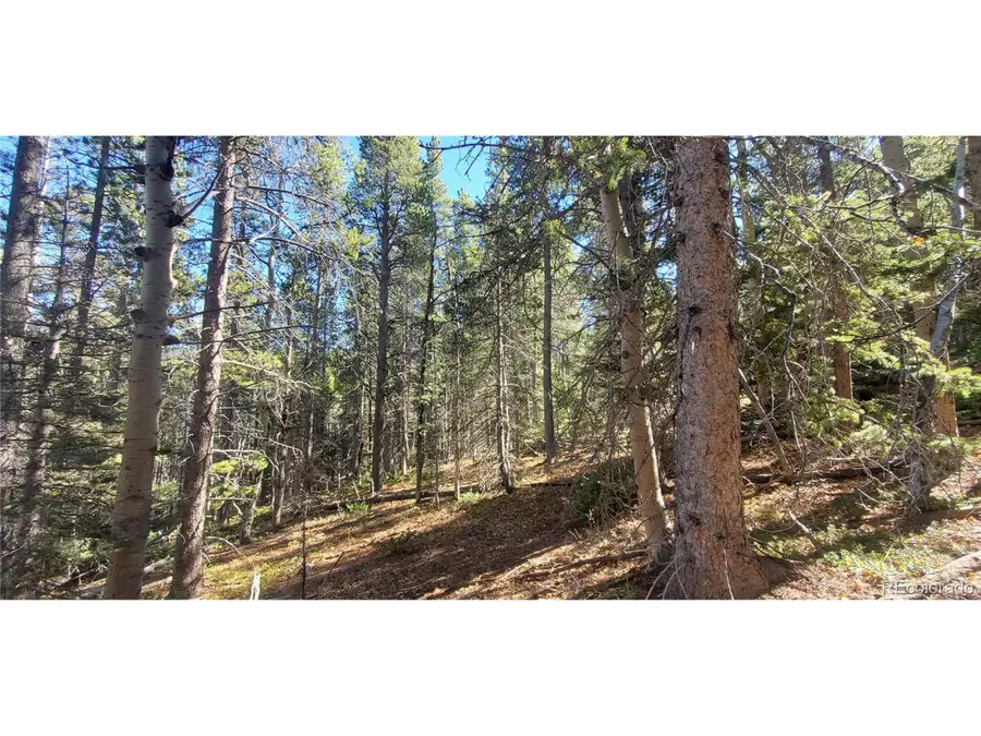 3023 Bolwell Ln, Fort Garland, CO 81133 - #2