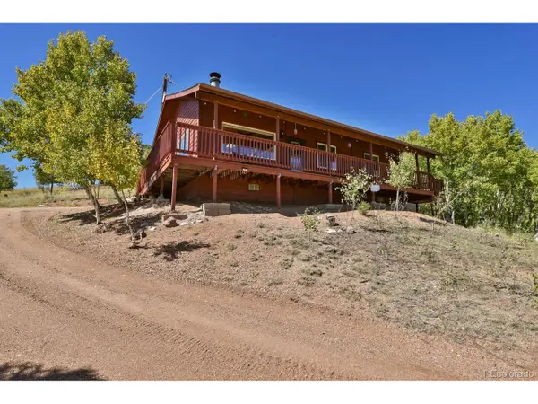 498 Granite Ln, Cripple Creek, CO 80813