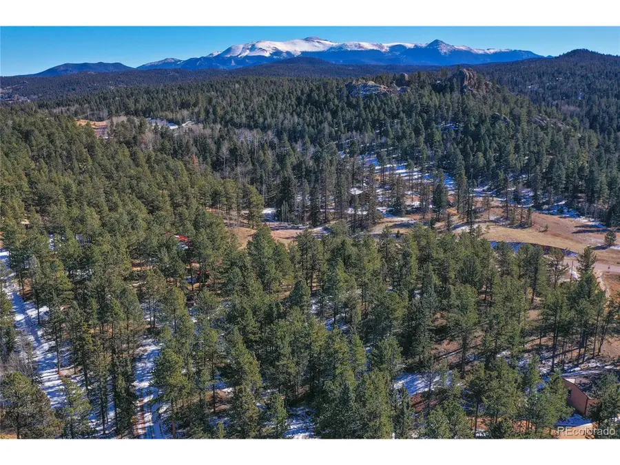 683 Kingston Dr, Florissant, CO 80816 - Image #3