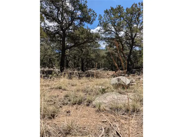 3729 Enchanted Way, Crestone, CO 81131