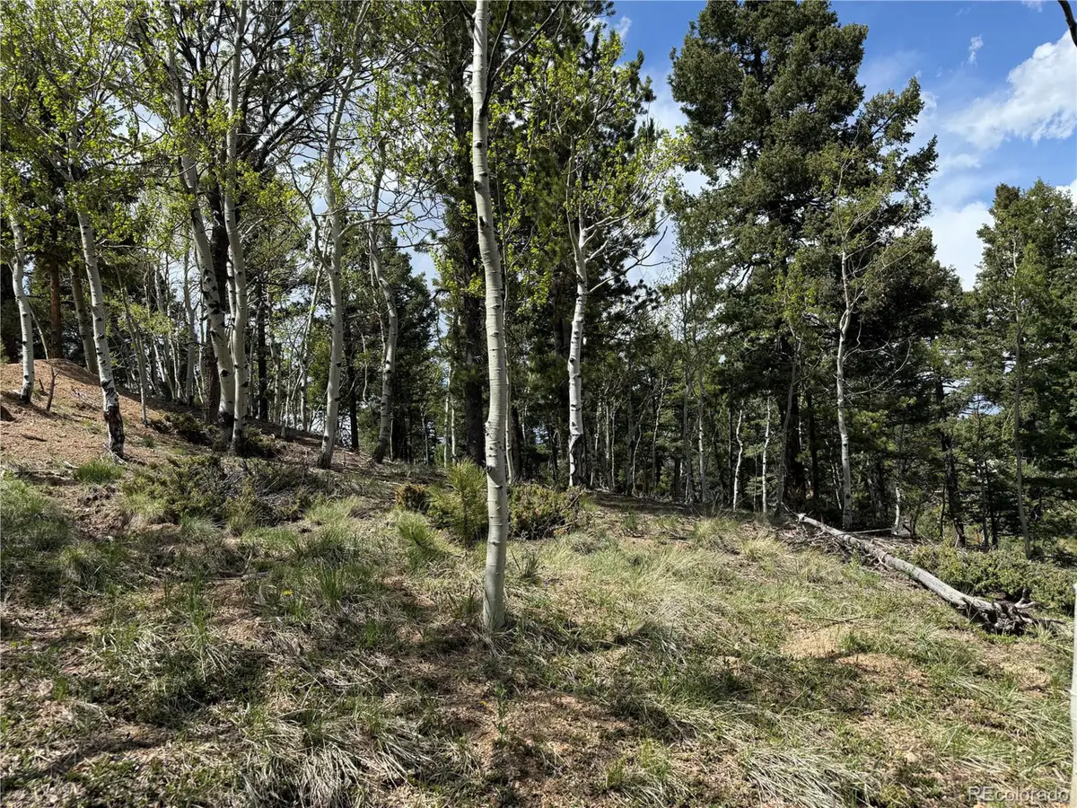 62 Hadatsa Ln, Woodland Park, CO 80863 - Image #1