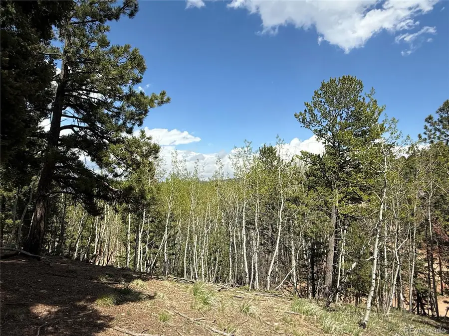 62 Hadatsa Ln, Woodland Park, CO 80863 - Image #2