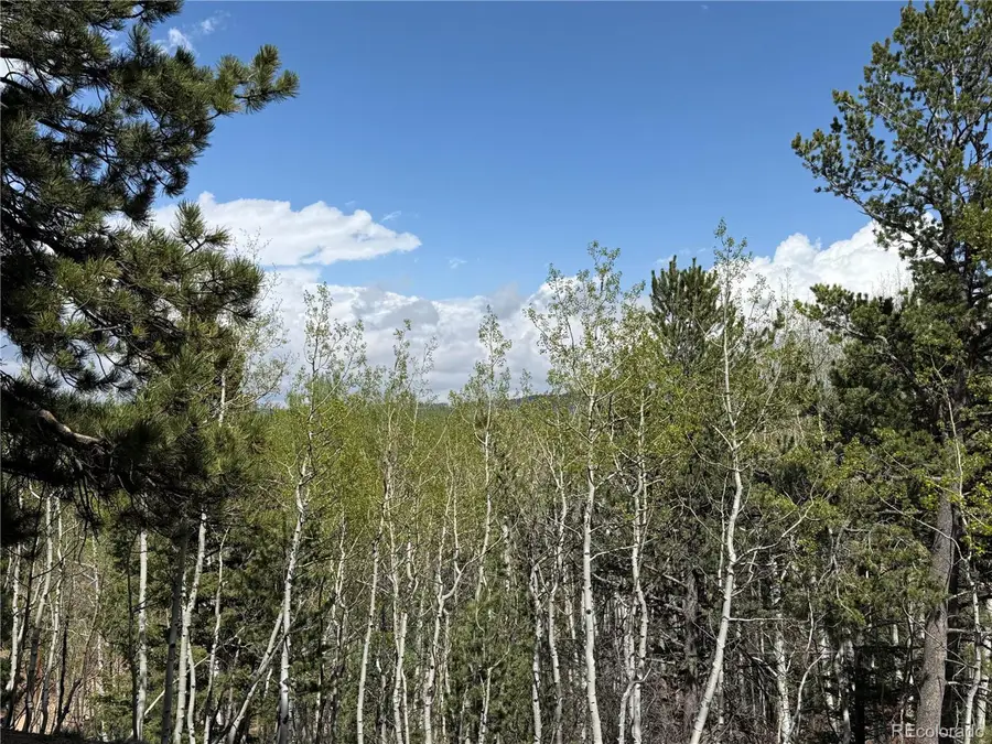 62 Hadatsa Ln, Woodland Park, CO 80863 - Image #3