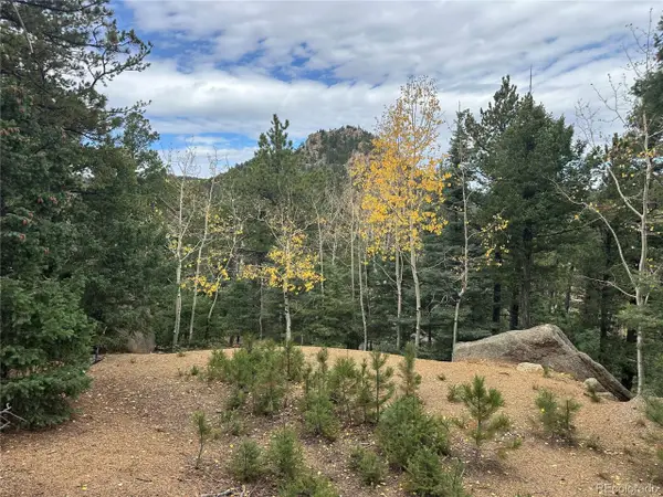 316 Summit Ridge, Manitou Springs, CO 80829