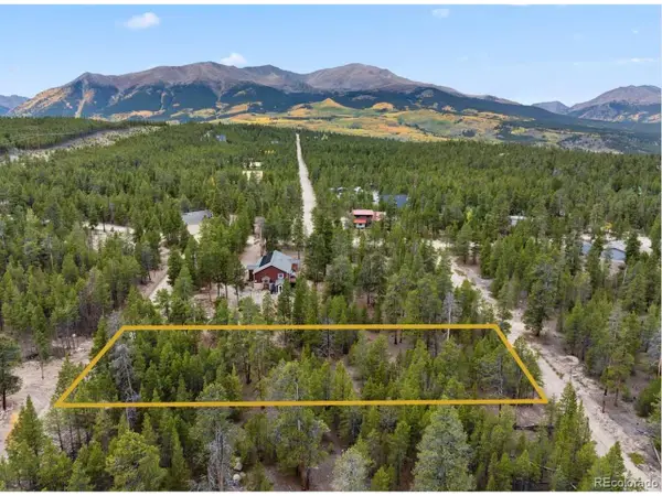 416 Juniper Dr, Twin Lakes, CO 81251