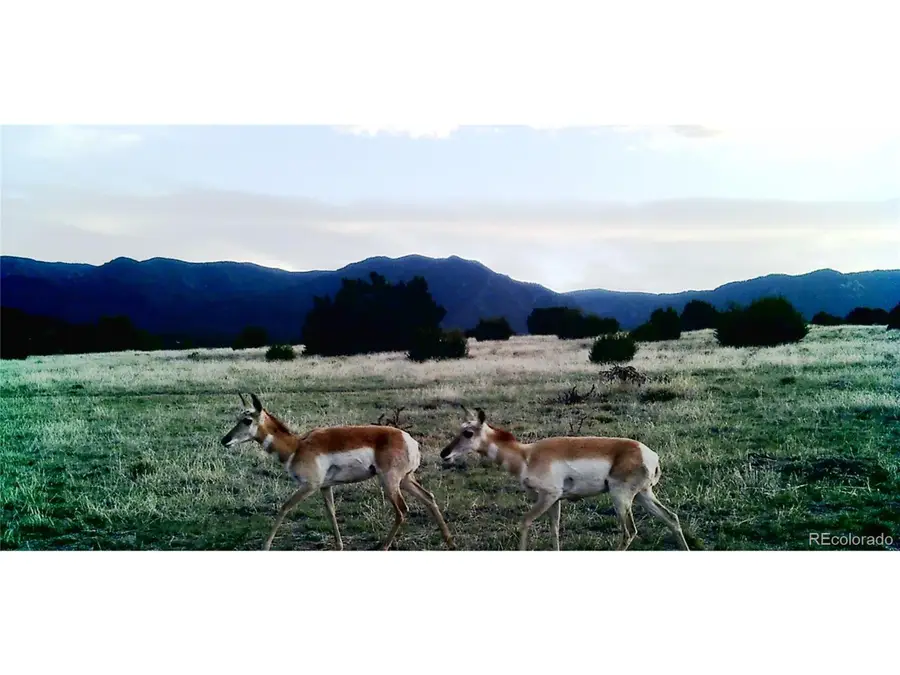 0 County Road 103, Florence, CO 81226 - Image #3