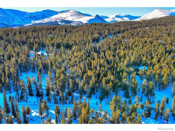 603 Bobcat Ln, Fairplay, CO 80440