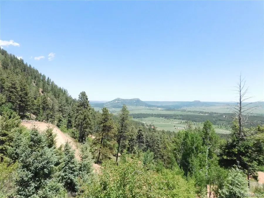 13520 Woodmoor West Dr, Larkspur, CO 80118 - #3
