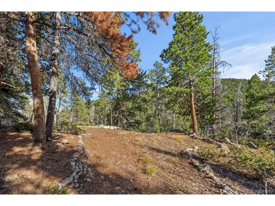 86 Severance Lodge Rd, Black Hawk, CO 80422 - #2