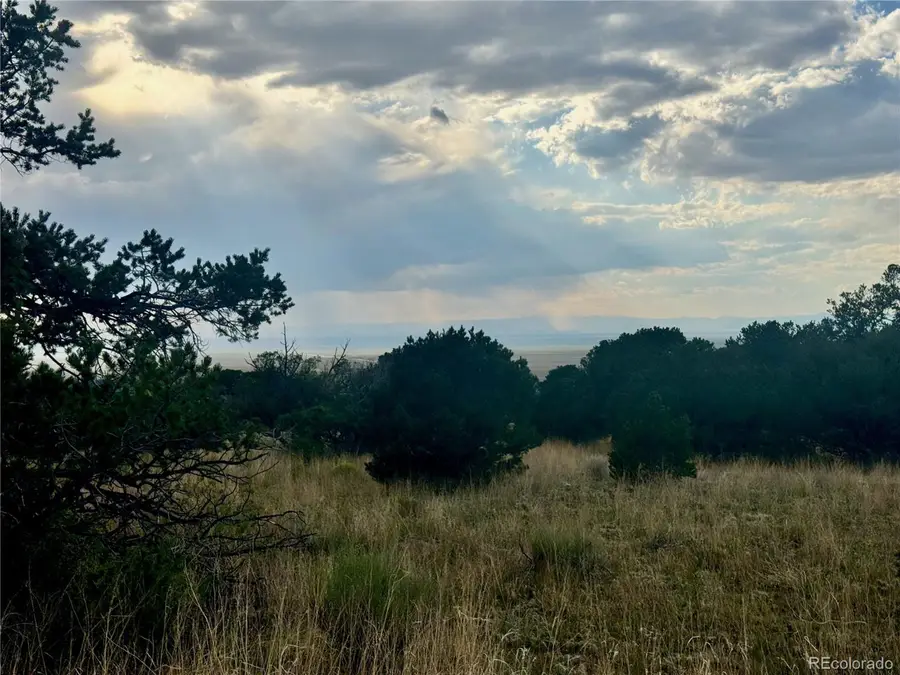 15 Clear Brook Pl, Mosca, CO 81146 - #3