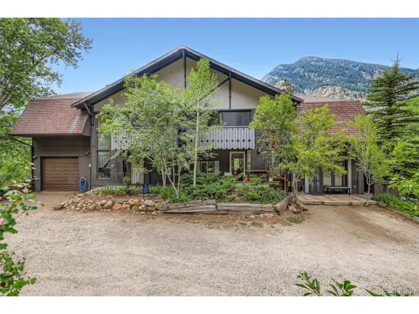 819 Valley View Dr, Georgetown, CO 80444