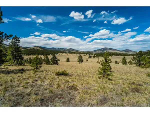 128 Nancy Ann Arroyo, Guffey, CO 80820