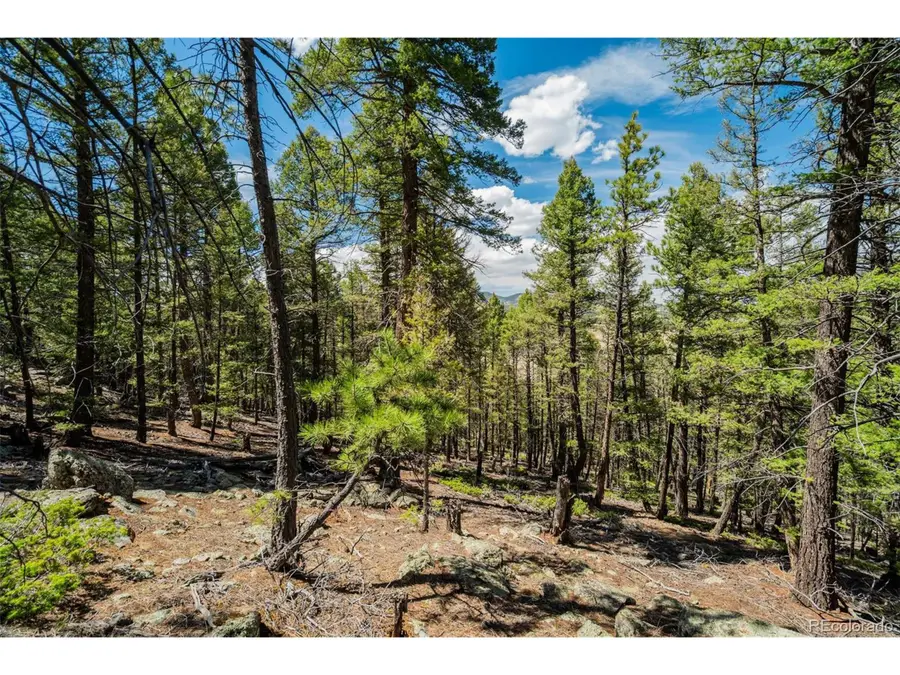 128 Nancy Ann Arroyo, Guffey, CO 80820 - #2