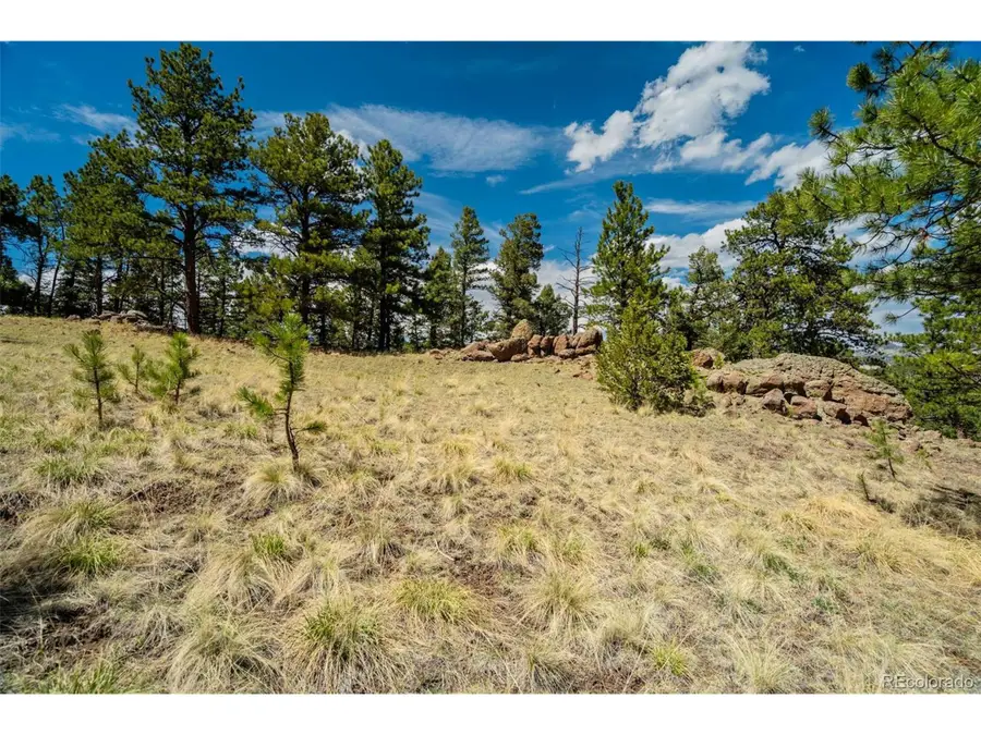 128 Nancy Ann Arroyo, Guffey, CO 80820 - #3