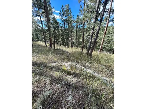 5233 S Road A, Evergreen, CO 80439