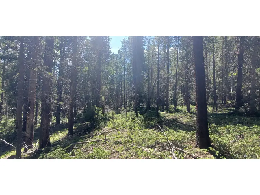 2914 Forbes Loop, Fort Garland, CO 81133 - #2