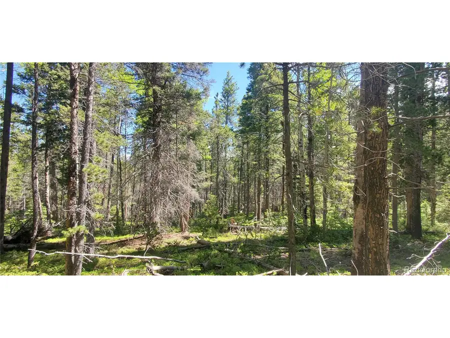 2914 Forbes Loop, Fort Garland, CO 81133 - #3