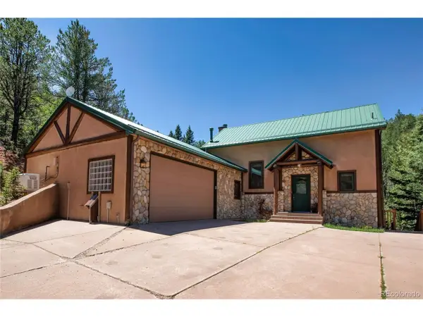 600 Beaver Pond Dr, Divide, CO 80814