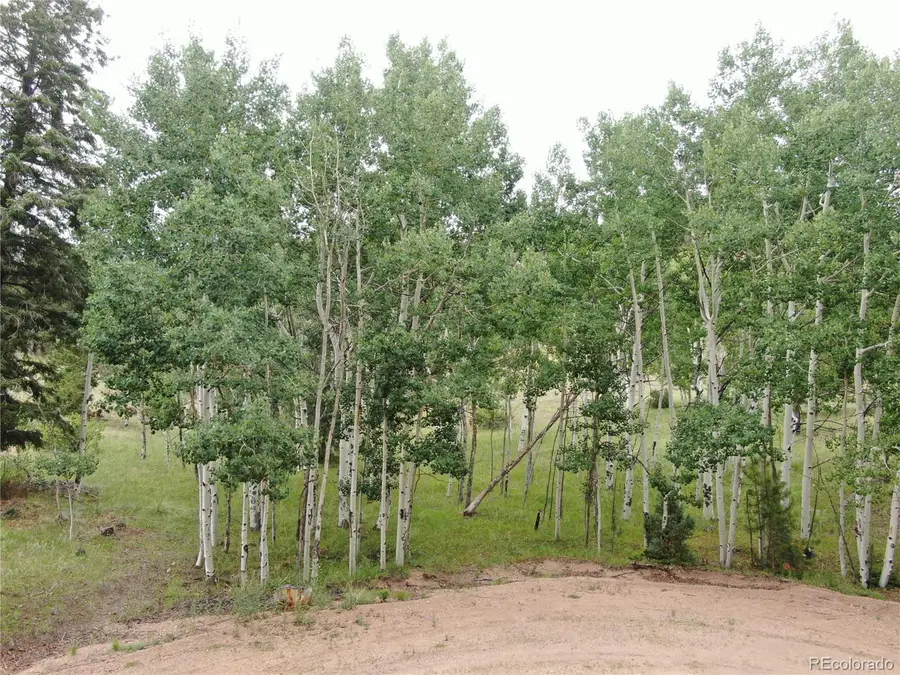 76 Crocus Cir, Florissant, CO 80816 - #3