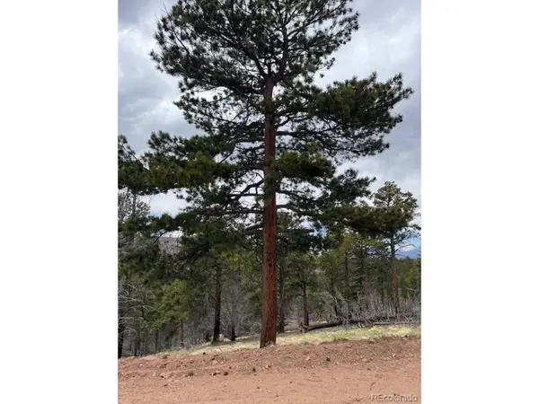 513 Leslie Loop, Fort Garland, CO 81133