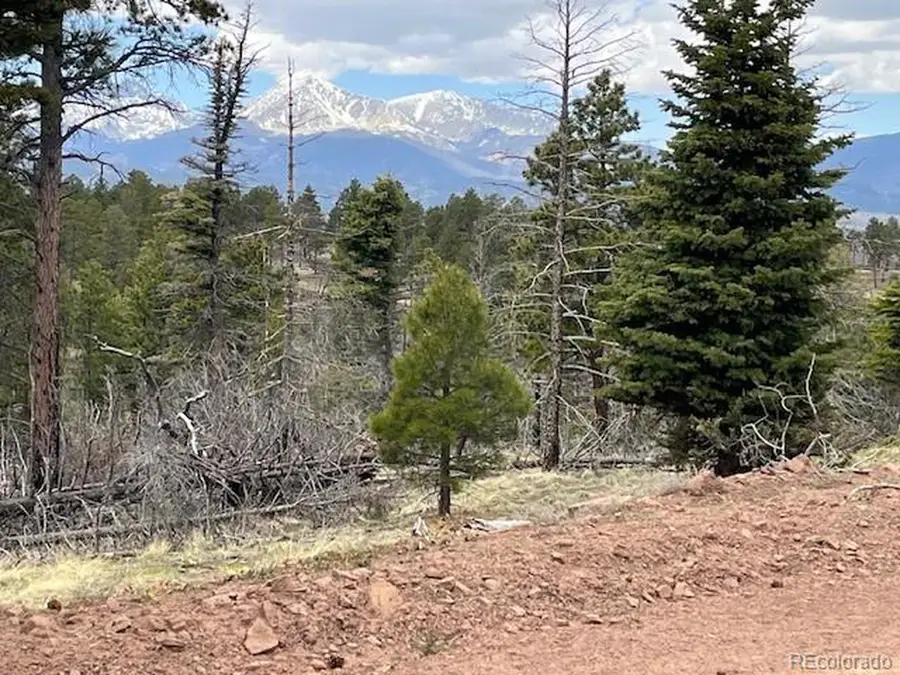 513 Leslie Loop, Fort Garland, CO 81133 - #3
