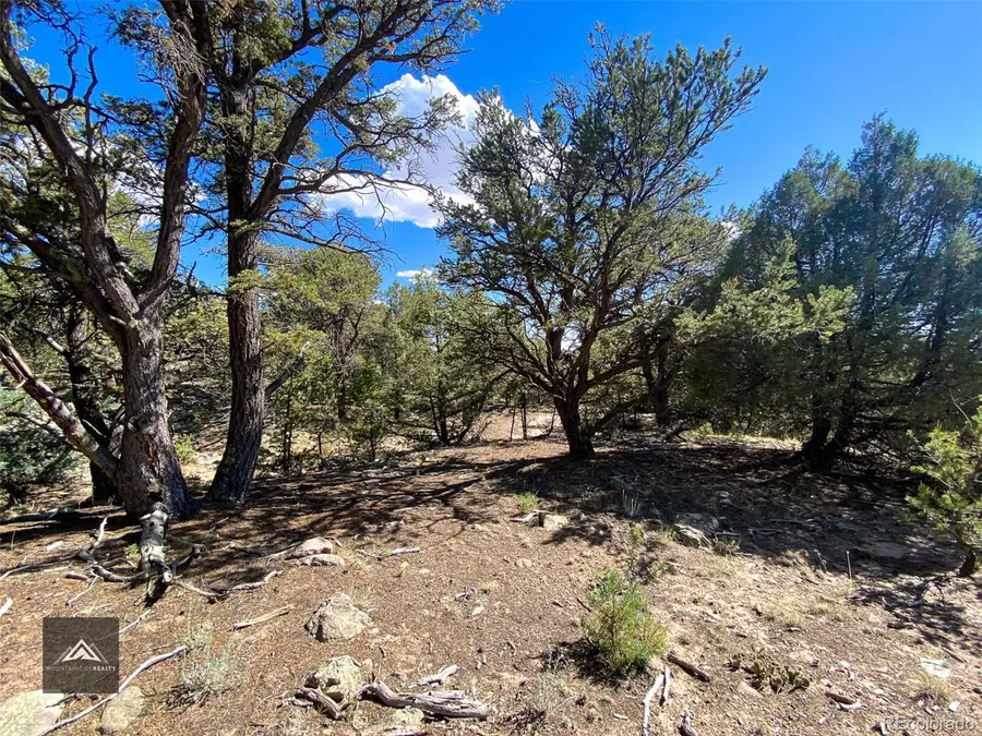 407 N Chaparral Way, Crestone, CO 81131 - Image #2