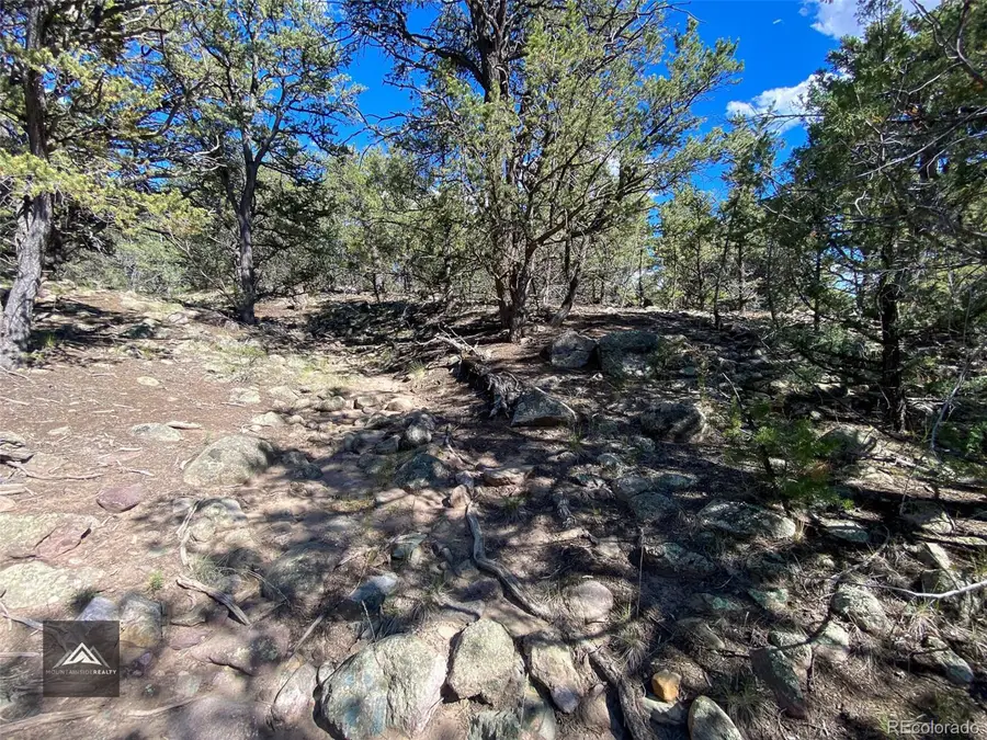 407 N Chaparral Way, Crestone, CO 81131 - Image #3