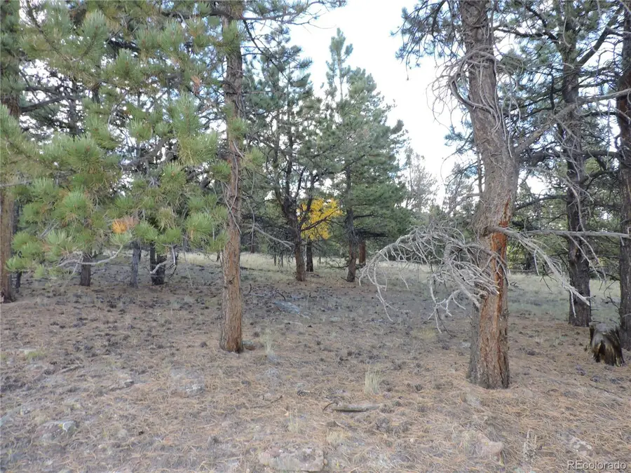 5113 Campfire Rd, Hartsel, CO 80449 - Image #3