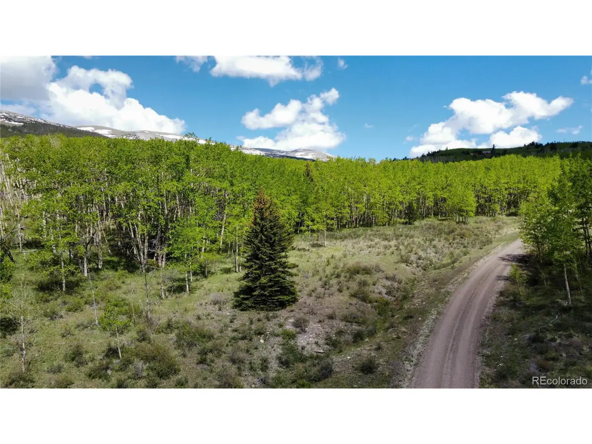 63 Pine Ridge Rd, Fairplay, CO 80440 - #1